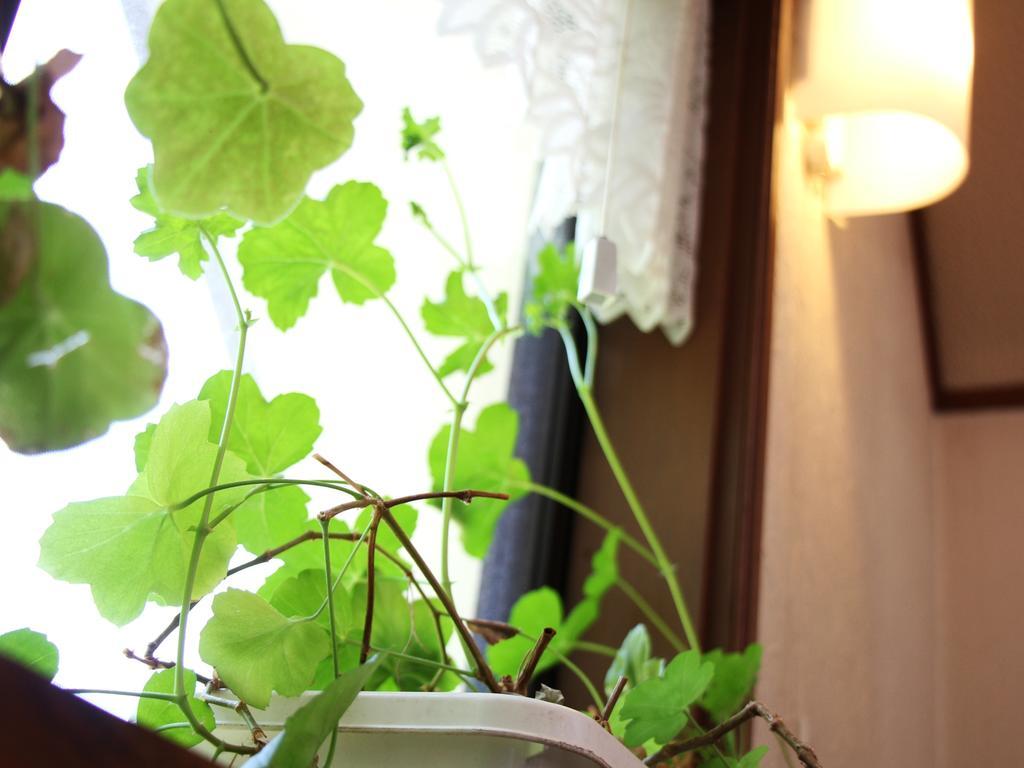 Pension Morinokaze Hakuba Bagian luar foto